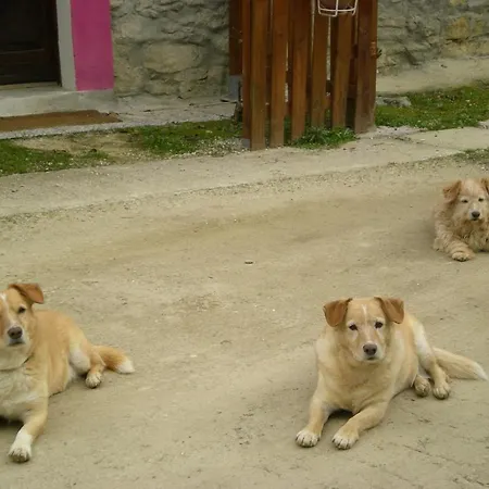 Borgo Robinie Vakantieboerderij Bosia